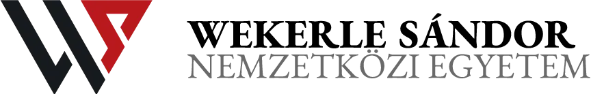 WSNE Logo